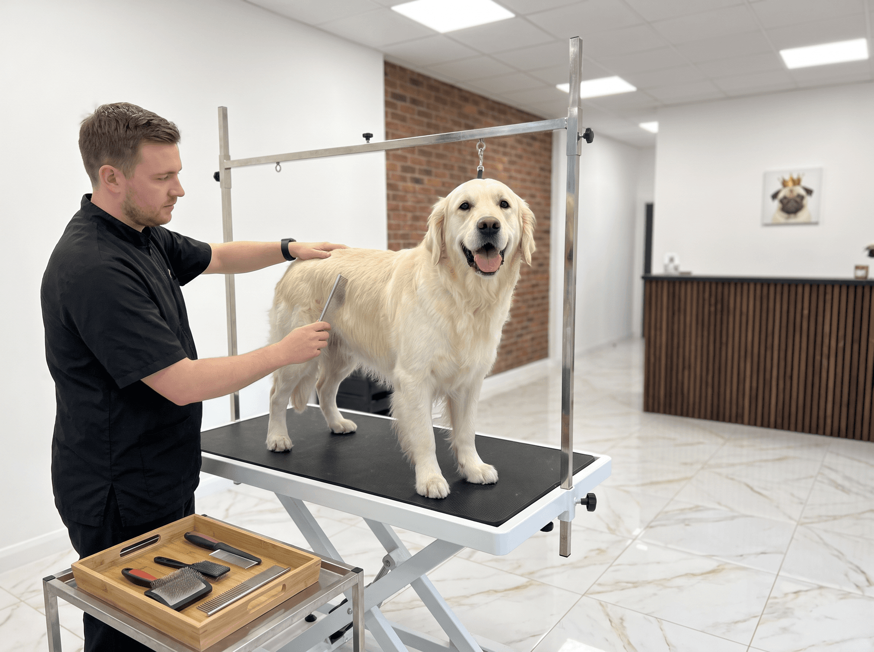Grooming services
