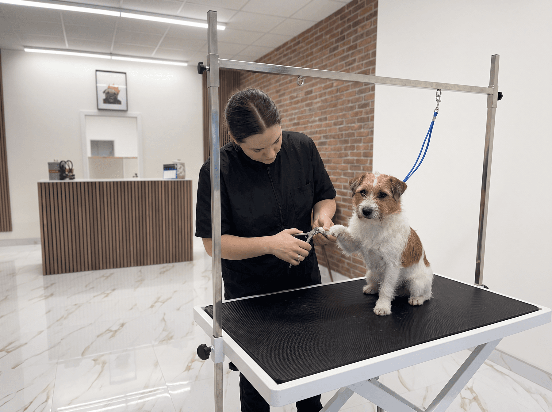 Nail trimming & ear cleaning
